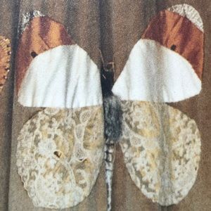 Meet your Posher, Anastasia